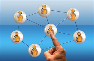 kaiyun开云·官方网站-2024年国际乒联混合团体世界杯：德国队顽强拼搏，2024世乒赛