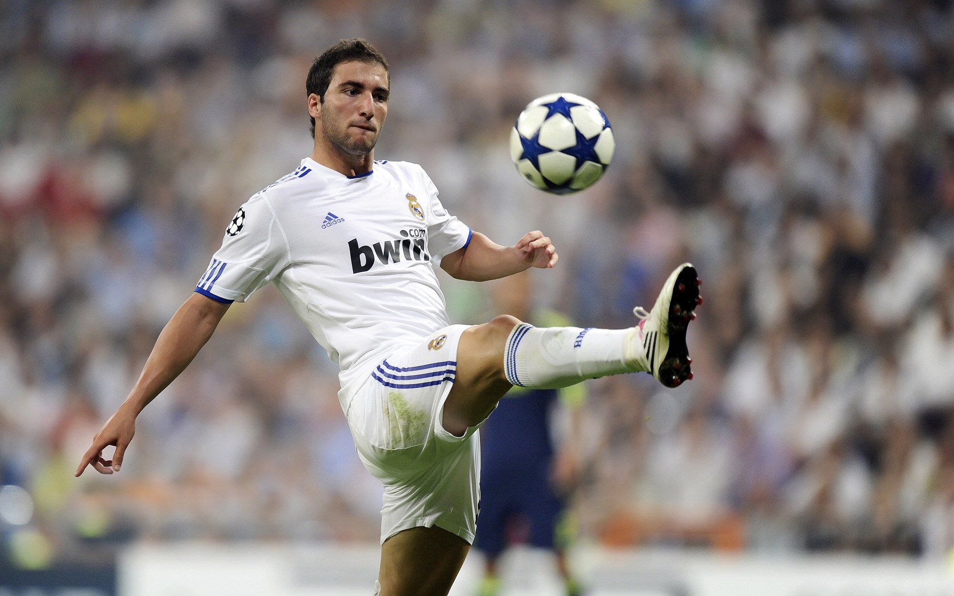 开云体育登入口-_体育心理学：战胜恐惧赢得关键分_，战胜恐惧的好处